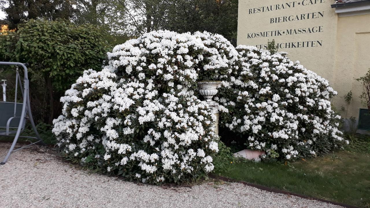 Hotel Quellenpark Bad Elster Eksteriør bilde